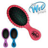 Wet Brush s