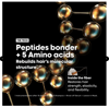 Absolut Repair Molecular